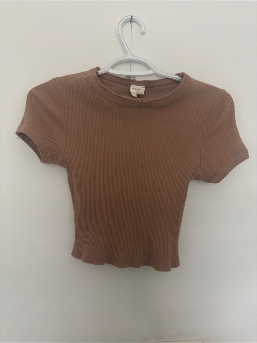 By Together Ribbed Crop Tee in Brown